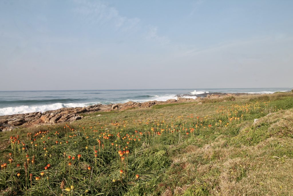 Esmezee 4, Self-Catering Holiday Accommodation